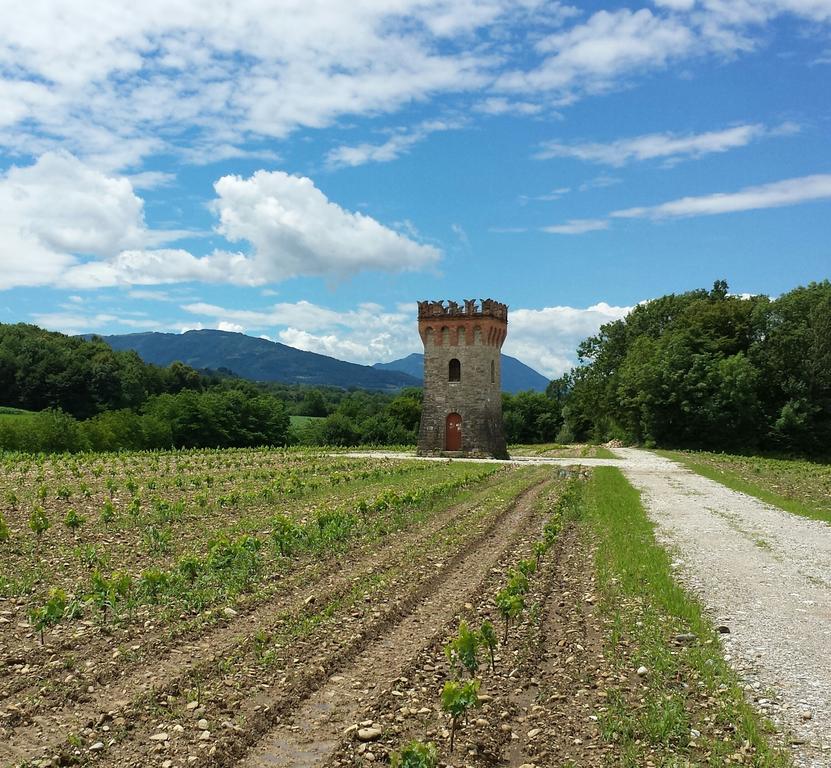 Agriturismo Casteldardo Konuk evi Trichiana Dış mekan fotoğraf