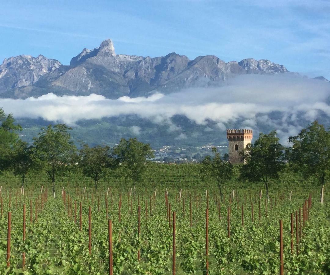 Agriturismo Casteldardo Konuk evi Trichiana Dış mekan fotoğraf
