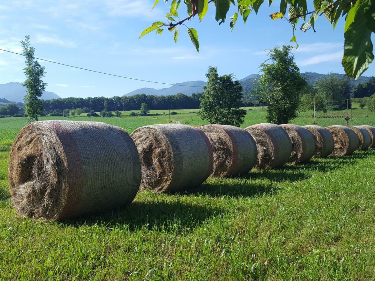 Agriturismo Casteldardo Konuk evi Trichiana Dış mekan fotoğraf